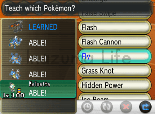 Pokémon Y  Cheat to learn any move; in this case, Meloetta able to learn Fly.