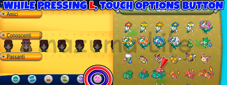 Pokemon XY Cheats PC