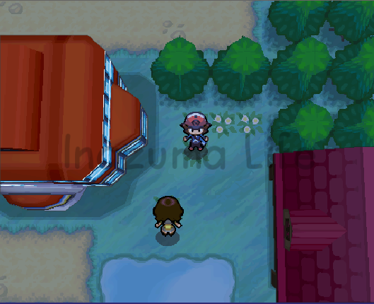 Cheats Pokemon Negro y Blanco (NDS & Desmume) 35 Mistralton City seen from above