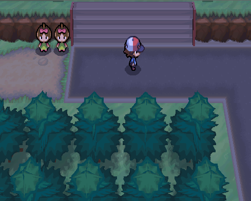 Cheats Pokemon Negro y Blanco (NDS & Desmume) 38 Ruta 3 con cámara estirada hacia arriba