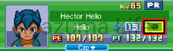 Hector Helio con afinidad de bosque tras usar el código en Inazuma Eleven 3 Bomber (NDS)