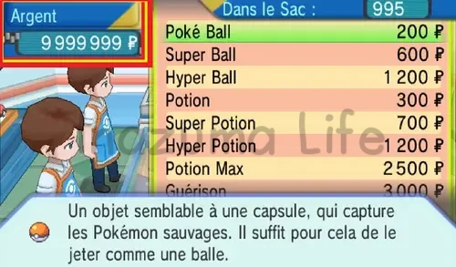 Brendan shopping at the Poké Mart with 9,999,999 PokéDollars after activating the infinite money code (ORAS)
