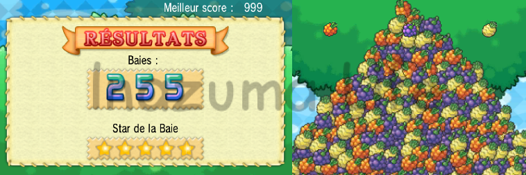 255 berries collected in the minigame after using the cheat in Pokémon Omega Ruby and Alpha Sapphire