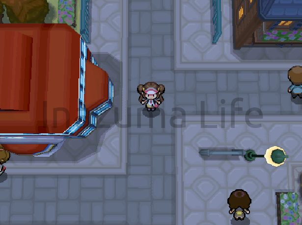 Cheats Pokémon Negro 2 y Blanco 2 | Trucos para DraStic y Desmume 16 Top-down camera view using the code in B2W2