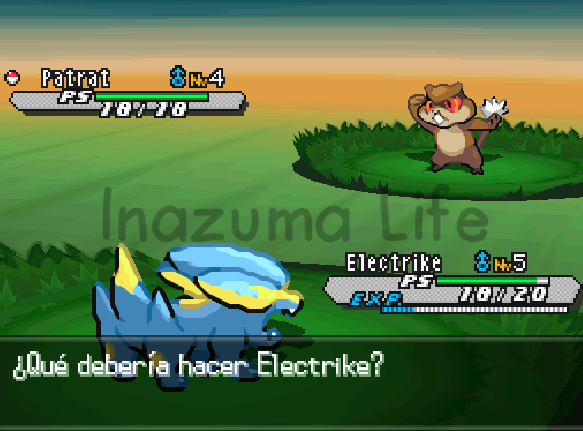 Cheats Pokémon Negro 2 para ver la vida del Patrat enemigo