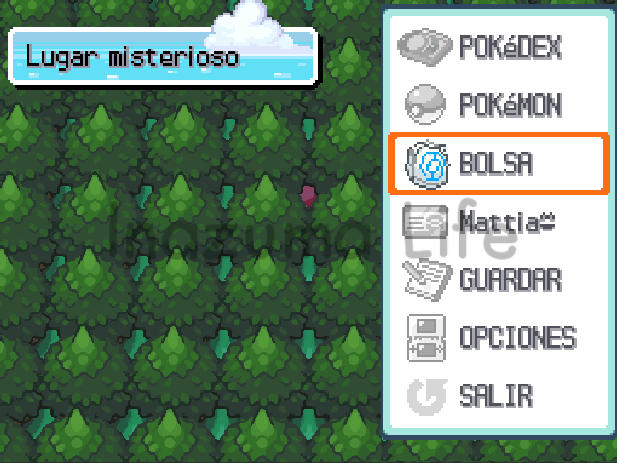 Accediendo al menú en la Zona Misteriosa