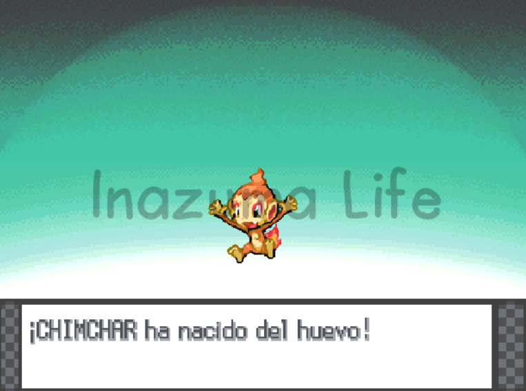 Chimchar recién salido del huevo tras usar el truco en Pokémon Platino