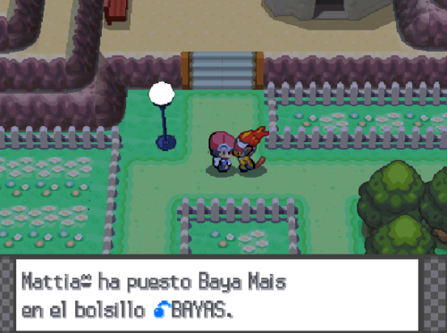 Infernape recogiendo una baya en la Plaza Amistad de Ciudad Corazón